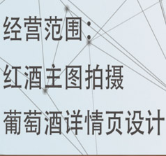 成都印诺商务信息咨询