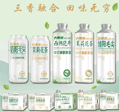 山东澳龙啤酒
