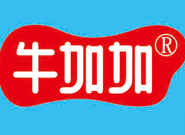 牛加加乳业