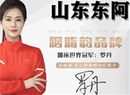 东阿胭脂韵阿胶