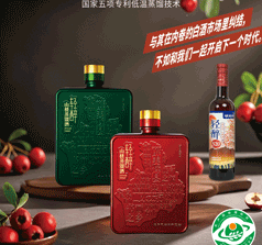河南宝泉酒业